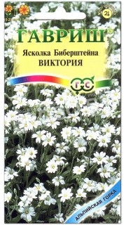 Ясколка Биберштейна Виктория
