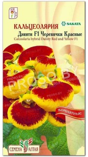 Кальцеолярия Дэинти Черевички красные F1