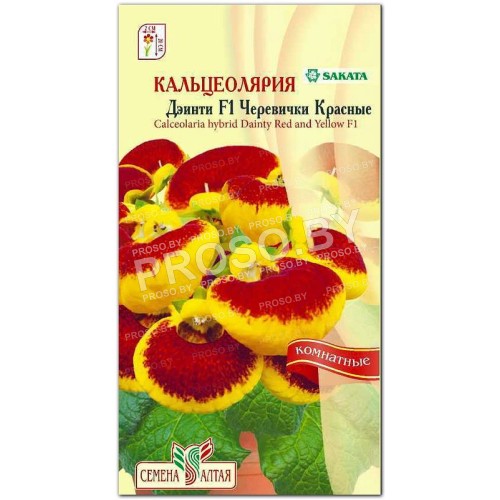 Кальцеолярия Дэинти Черевички красные F1