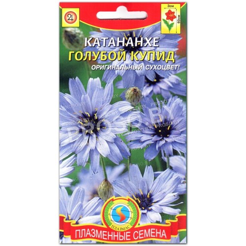 Катананхе Голубой Купид