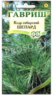 Кедр сибирский Шепард
