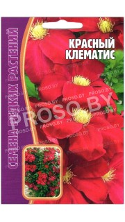Клематис Красный