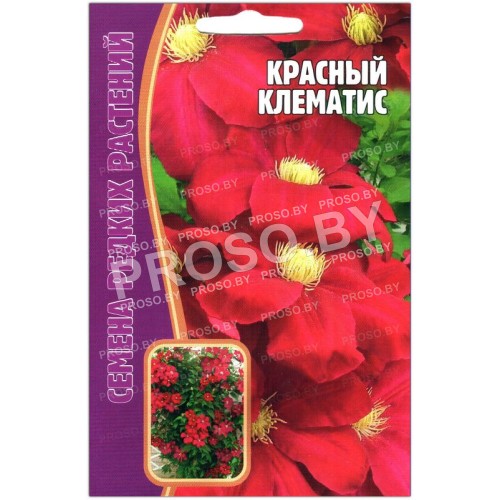 Клематис Красный