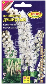 Клопогон Душистый