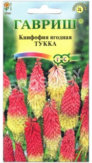 Книфофия ягодная Тукка
