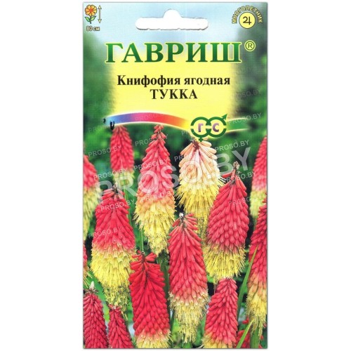 Книфофия ягодная Тукка
