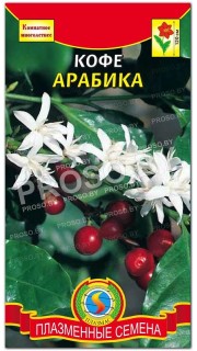Кофе аравийский Арабика