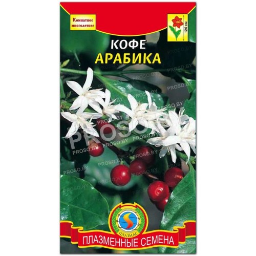 Кофе аравийский Арабика