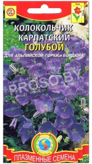 Колокольчик карпатский Голубой