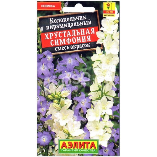 Колокольчик пирамидальный Хрустальная симфония, смесь