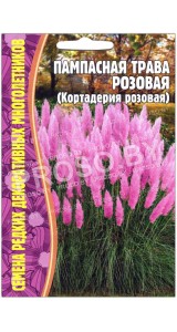 Кортадерия (пампасная трава) Розовая