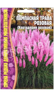 Кортадерия (пампасная трава) Розовая