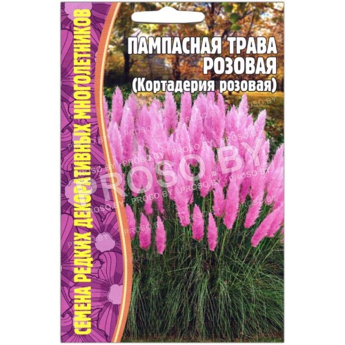 Кортадерия (пампасная трава) Розовая
