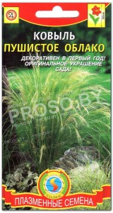Ковыль Пушистое облако