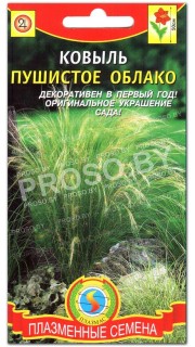 Ковыль Пушистое облако