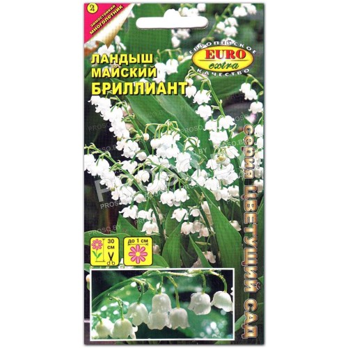 Ландыш майский Бриллиант