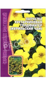 Лапчатка кустарниковая Голдфингер (курильский чай)