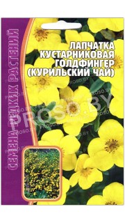 Лапчатка кустарниковая Голдфингер (курильский чай)