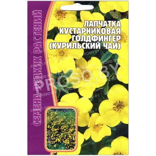 Лапчатка кустарниковая Голдфингер (курильский чай)