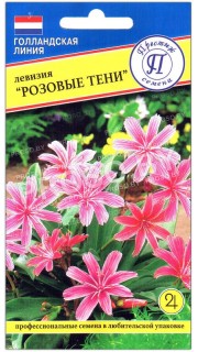Левизия Розовые тени