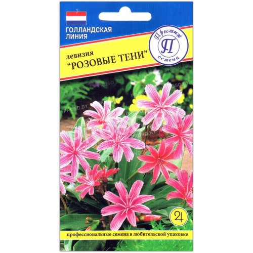 Левизия Розовые тени