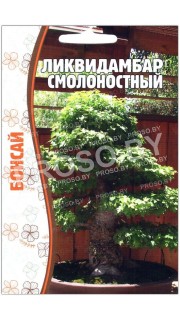 Ликвидамбар Смолоностный