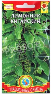 Лимонник Китайский