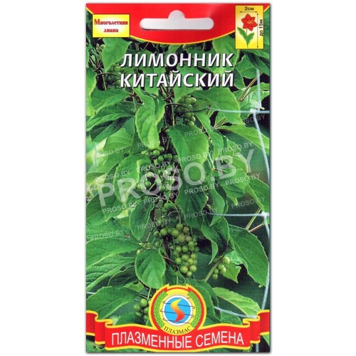 Лимонник Китайский