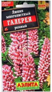 Люпин Галерея розовый