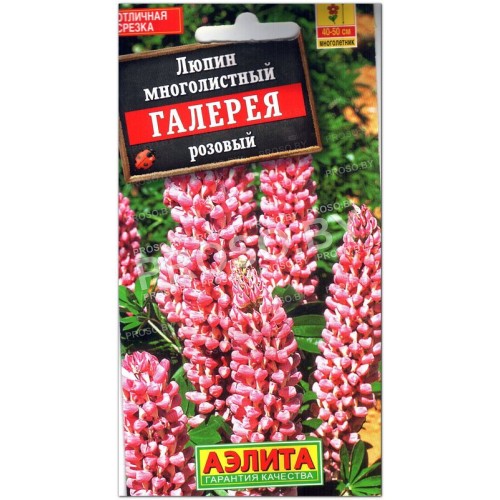 Люпин Галерея розовый