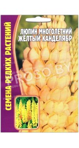 Люпин Желтый канделябр
