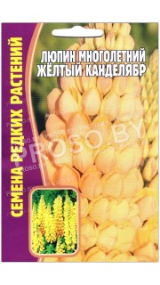 Люпин Желтый канделябр