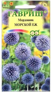 Мордовник Морской еж