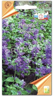 Непета Орион