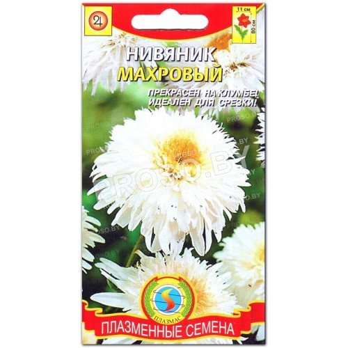 Нивяник Махровый