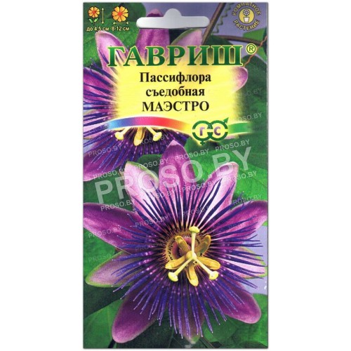 Пассифлора съедобная Маэстро