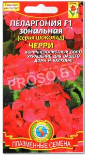 Пеларгония Черри F1