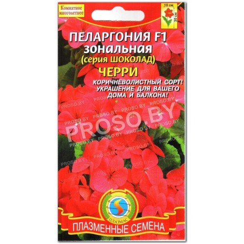 Пеларгония Черри F1