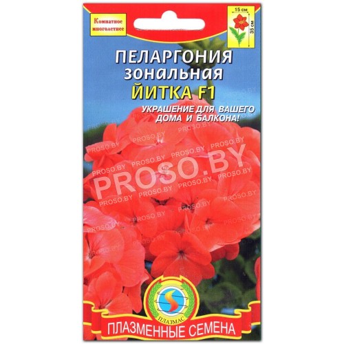 Пеларгония Йитка F1