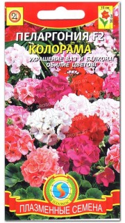 Пеларгония Колорама F2, смесь