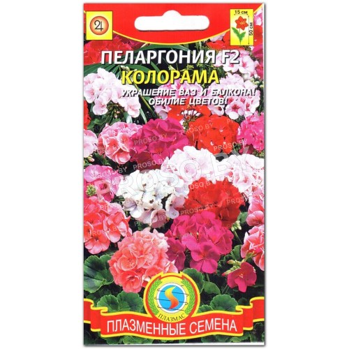 Пеларгония Колорама F2, смесь