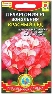 Пеларгония Красный лед F1