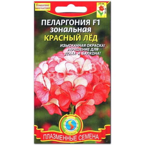 Пеларгония Красный лед F1