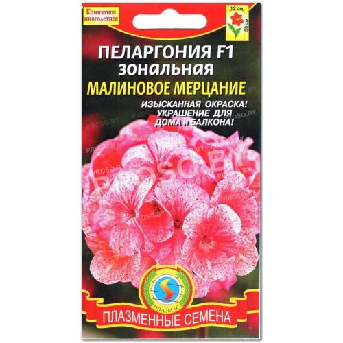 Пеларгония Малиновое мерцание F1