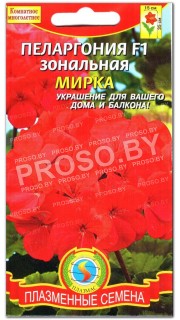 Пеларгония зональная Мирка F1