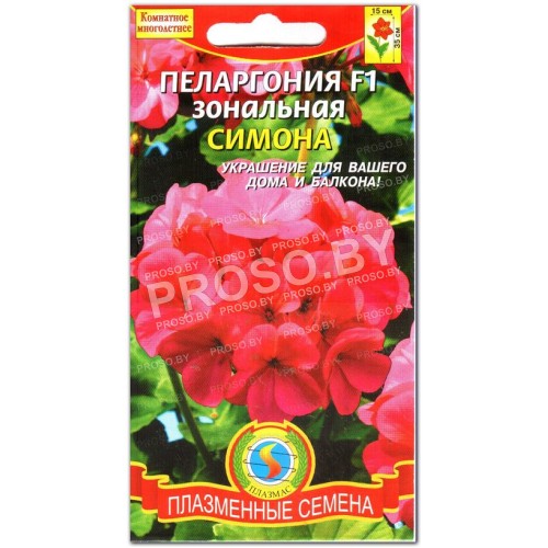 Пеларгония Симона F1