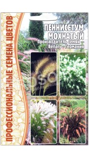 Пеннисетум Мохнатый