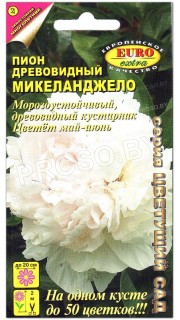 Пион древовидный Микеланджело