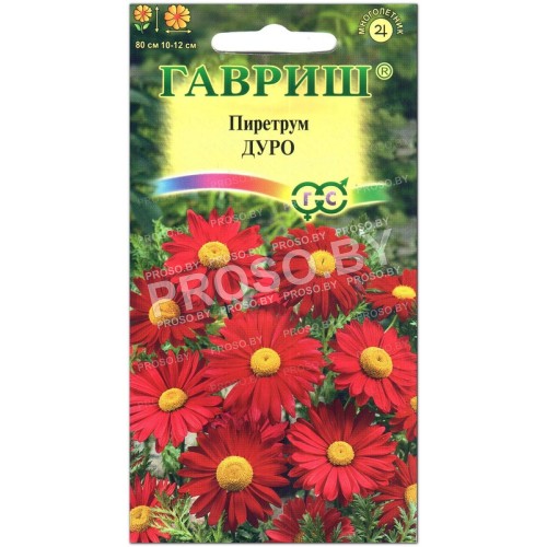 Пиретрум Дуро