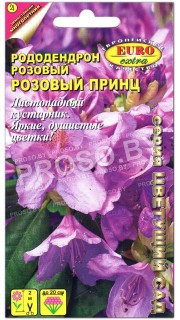 Рододендрон Розовый принц